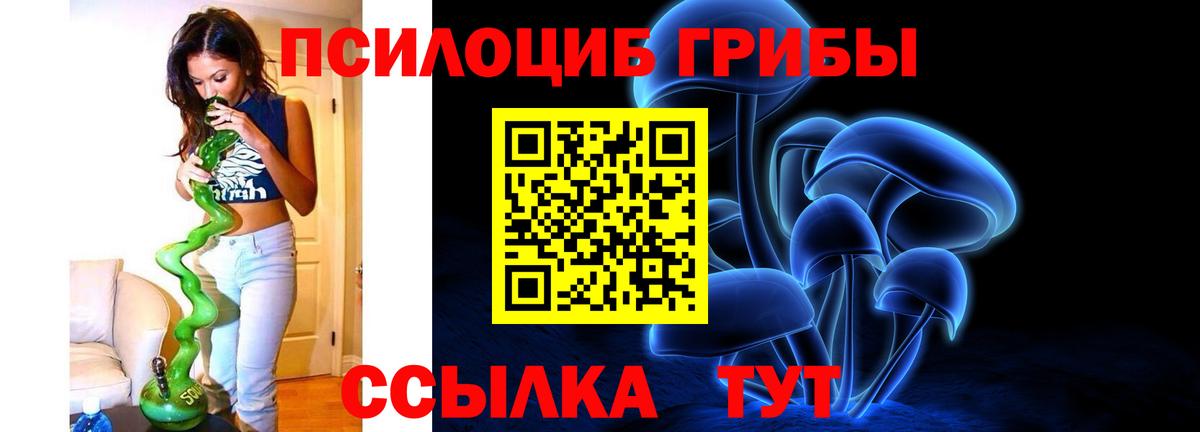 Каспийск  Псилоцибиновые грибы мухоморы  Вход с VPN  Псилоцибиновые грибы GOLDEN TEACHER 